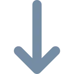 Long Arrow Down SVG Icon
